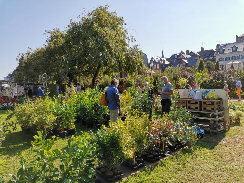 Passionnément jardin à Honfleur